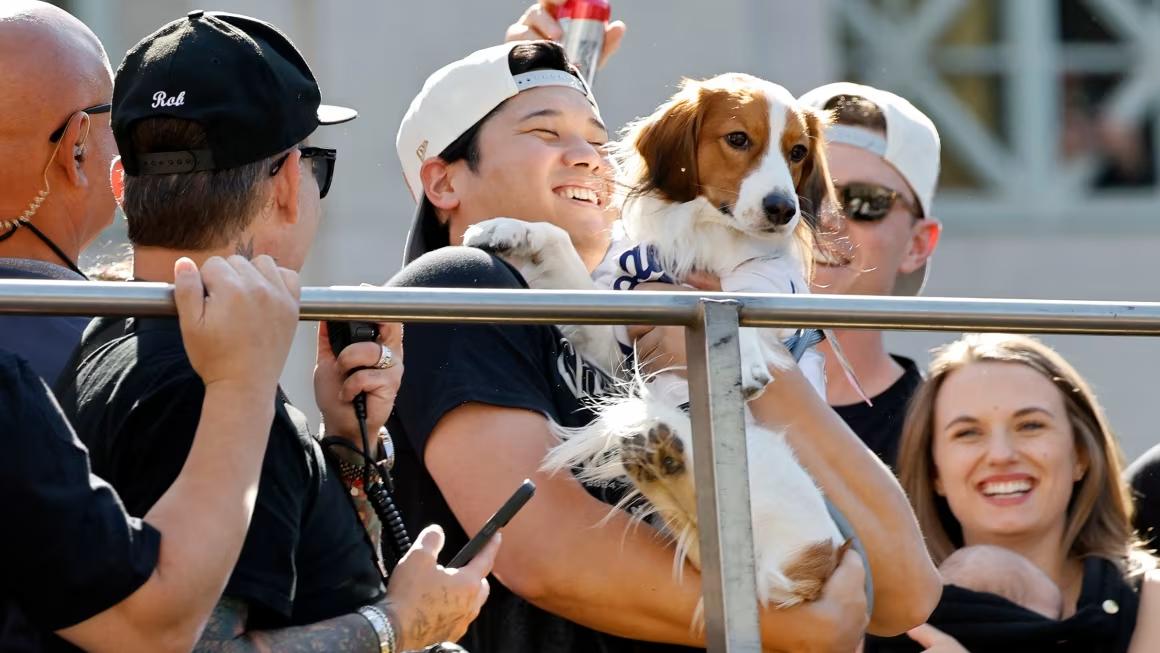 🐾 SHOCKING MOVE OFF THE FIELD: Dodgers Superstar Shohei Ohtani Donates $5 MILLION to Build “Star Haven,” a Luxury Sanctuary for Stray Dogs in California — Fans Say This Is His Greatest Victory Beyond Baseball - Luxury Blogs